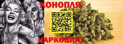 спиды Дубна