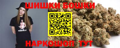 спиды Дубна