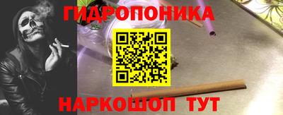спиды Дубна