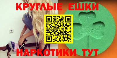 спиды Дубна